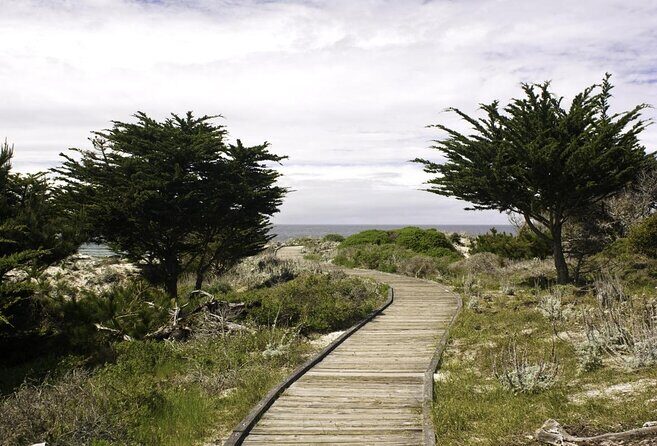 17-Mile Drive Self-Guided Audio Tour from Monterey & Carmel - An In-Depth Look at the Experience