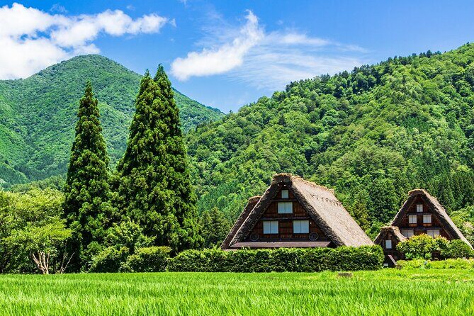1Day Private Shirakawago and Takayama with Public bus from Nagoya - Key Points