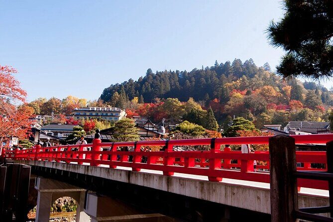 1Day Private Shirakawago and Takayama with Public bus from Nagoya - Considerations and Potential Drawbacks
