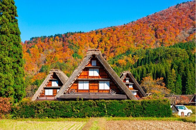 1Day Private Shirakawago and Takayama with Public bus from Nagoya - Who Will Benefit Most?