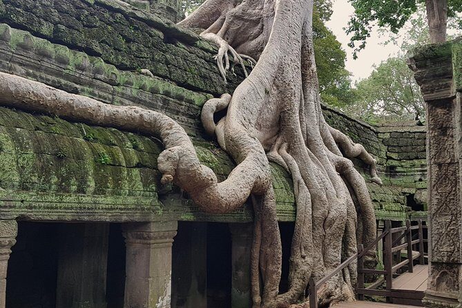 1day Private tour, Angkor sunrise,all main temples, Banteay srei - The Sum Up