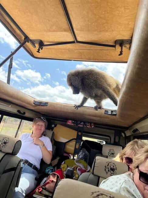 1Day Safari Tour Tarangire National Park Join Group - Exploring Tarangire: What to Expect from Your Day Trip