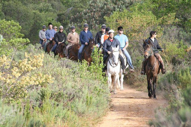 1h30m Horse Trail - Key Points