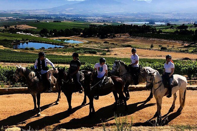 1h30m Horse Trail - A Detailed Look at the Horse Trail Experience