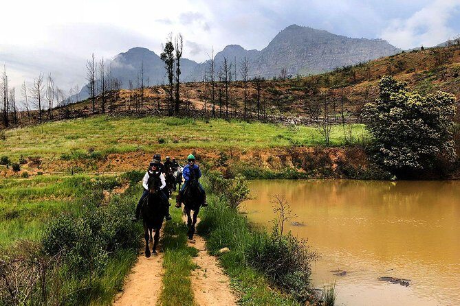 1h30m Horse Trail - Who Should Consider This Tour?