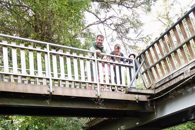 1Hour Guided Tour of Pkaha National Wildlife Centre - What to Expect from Your Pkaha Forest Tour