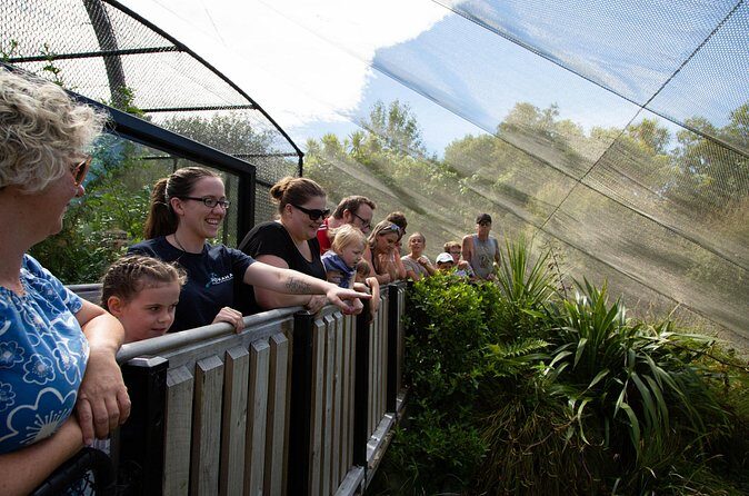 1Hour Guided Tour of Pkaha National Wildlife Centre - Final Thoughts: Who Will Love This Tour?