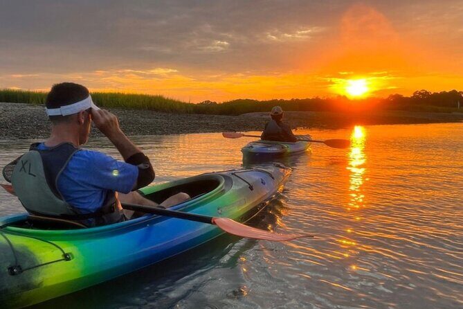 2 1/4 Hour Private Kayak Hilton Head Dolphin Nature Experience - Who Should Consider This Tour?