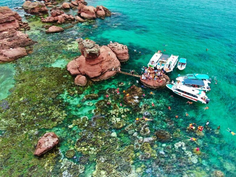 2-3 hours of Private Snorkeling Trip in South of Phu Quoc - Who Should Consider This Tour?