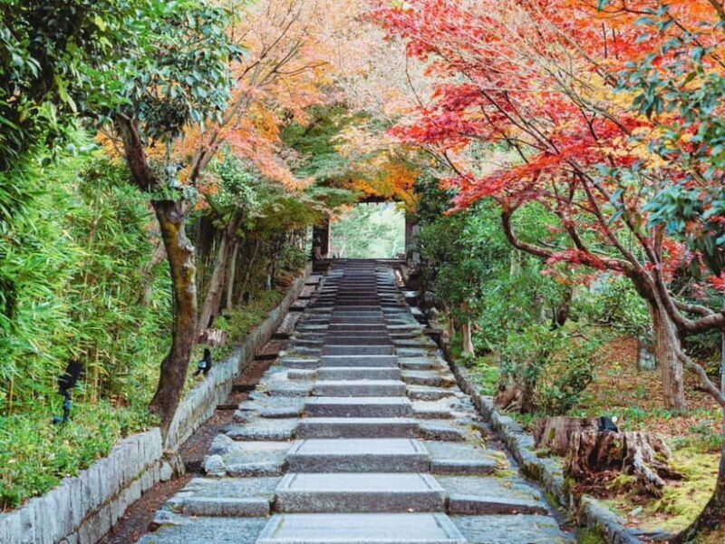 [2.3km / 1.43mi] Kyoto East Early Morning Walking Tour - Introduction