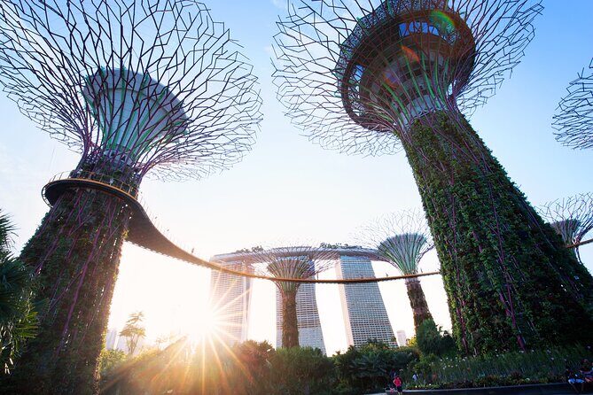 2-4 days in Singapore Guided Tour Pass - An In-Depth Look at the Singapore Guided Tour Pass