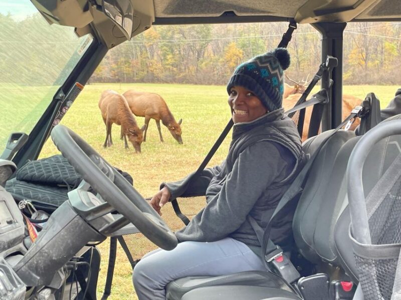 2.5-3 HR Maggie Valley: Guided Scenic UTV Adventure - The Practical Details