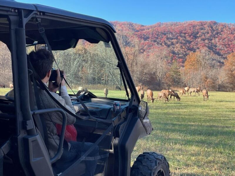 2.5-3 HR Maggie Valley: Guided Scenic UTV Adventure - Final Thoughts