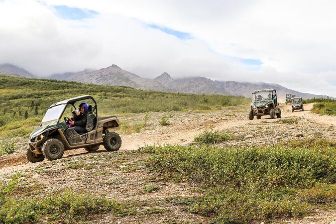 2.5-Hour Denali Wilderness ATV Adventure Tour - The Itinerary: What to Expect from Start to Finish