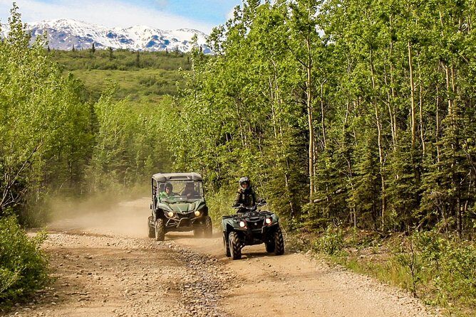 2.5-Hour Denali Wilderness ATV Adventure Tour - Authentic Experiences and Real Traveler Feedback