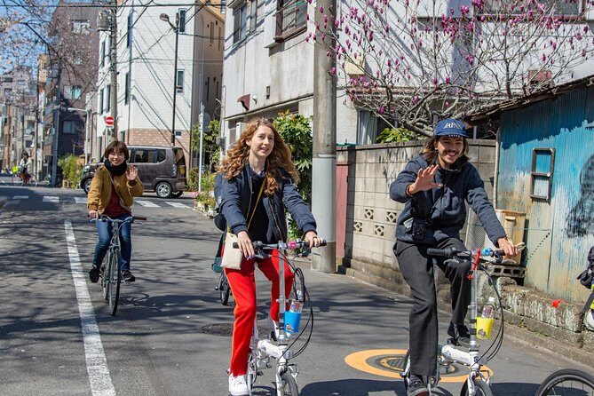 2.5 Hour-Guided Cycle Tour in the Central Tokyo - The Sum Up: Who Will Love This Tour