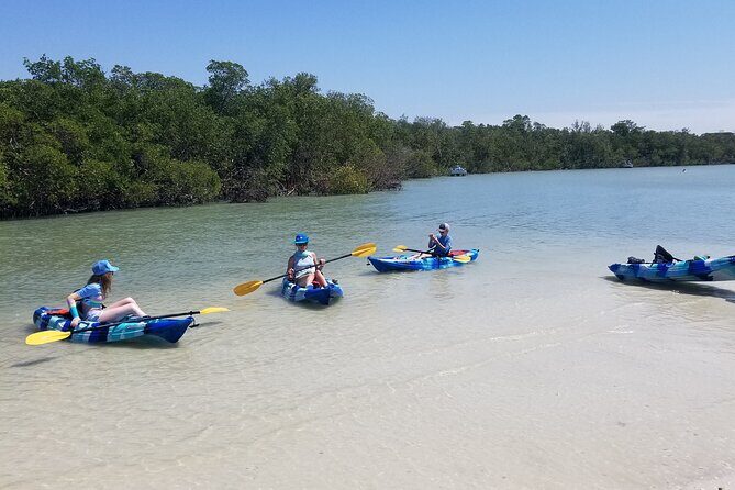 2.5-Hour Guided Group Kayak Tour on Big Hickory Pass - The Sum Up