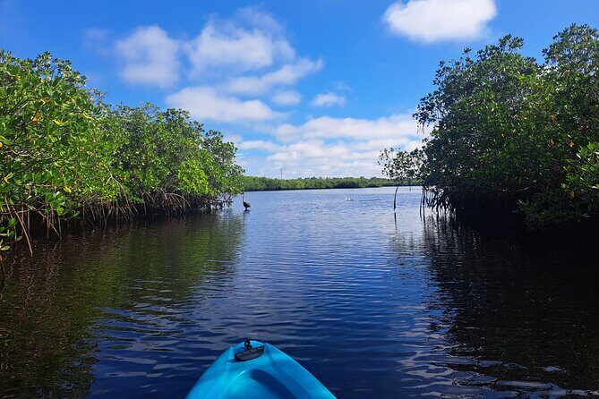 2.5 Hour Kayaking with Manatee and History Tour in Tarpon Springs - A Closer Look at the Tour