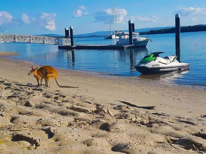 2.5-Hour Ultimate Jet Ski Safari to North Stradbroke Island - An Authentic Waterborne Adventure