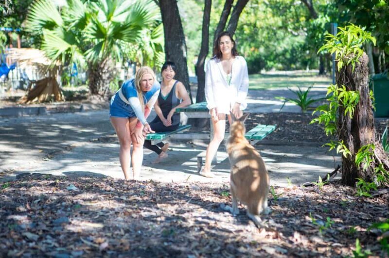 2.5-Hour Ultimate Jet Ski Safari to North Stradbroke Island - Authentic Wildlife Encounters and Scenic Value
