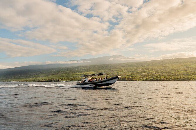 2.5-Hour Whale Watching On A 41' Super-Raft - The Experience: What to Expect from the Whale Watching Tour