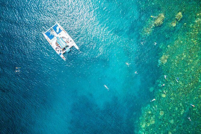 2.5 Hour Xpress Snorkel from Kaanapali Beach - Final Thoughts