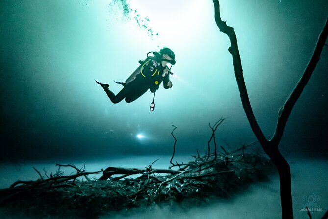 2 cenote divings (including one deep diving) for advanced divers in Tulum - An Authentic Look at the Cenote Diving Experience in Tulum