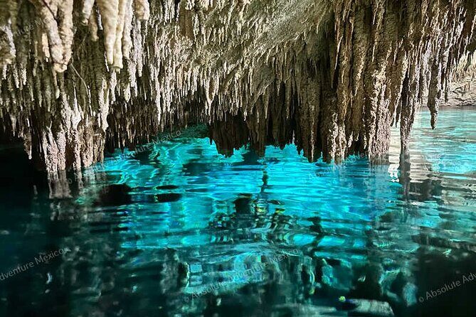 2 Cenotes Private Tour VIP Adventure with Expert Guide - What Makes This Tour Stand Out?