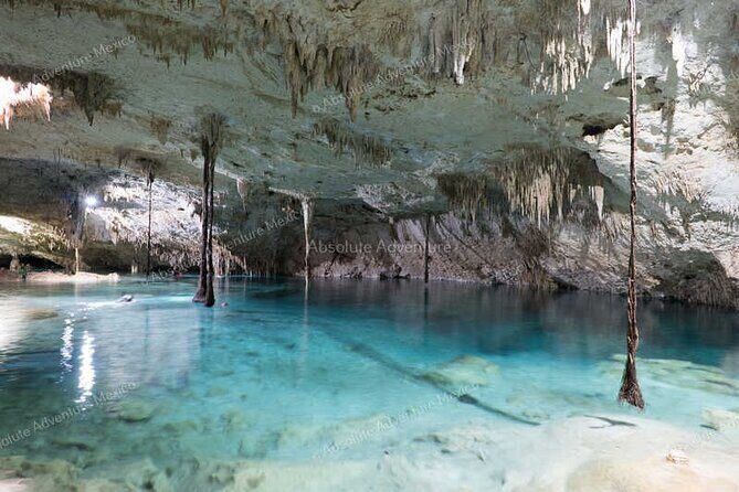 2 Cenotes Private Tour VIP Adventure with Expert Guide - Final Thoughts