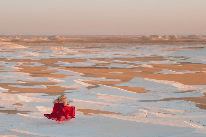 2 Day 1 night Bahariya Oasis Camp and Desert Tour from Cairo - Cost and Value Analysis