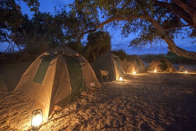 2 Day 1 Night Chobe Safari ex Livingstone/Victoria Falls - Who Would Love This Tour?