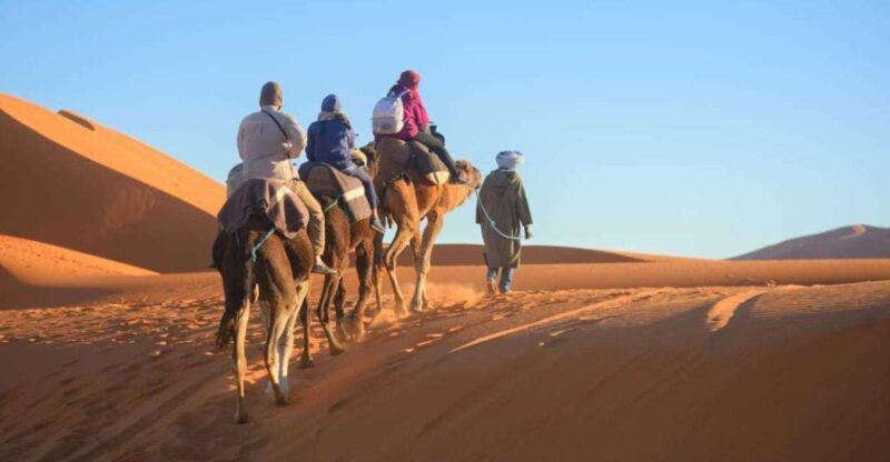 2-Day, 1-Night Desert Trip to Merzouga from Ouarzazate - Key Points