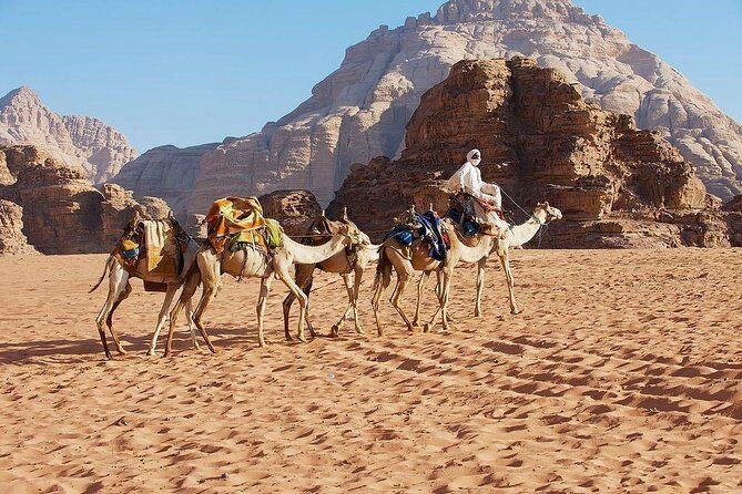 2 Day 1 Night Wadi Rum (Overnight) & Petra Shore Excursion - The Sum Up