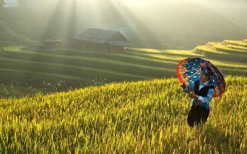 2 Day-2 Night Sapa Trekking: Overnight Train &Limousine Bus - An In-Depth Look at the Tour Experience
