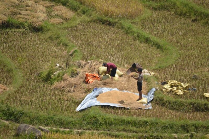 2 Day-2 Night Sapa Trekking: Overnight Train &Limousine Bus - Who Would Love This Tour?