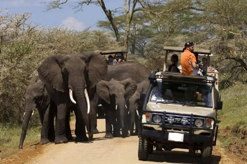 2 DAY-ADVENTURE SAFARI IN TANZANIA - Key Points