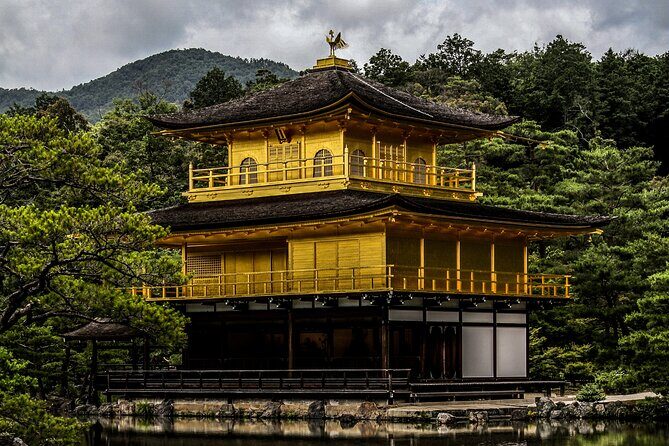 2-Day Adventure: Tokyo & Mount Fuji - The Sum Up: Who Should Consider This Tour?