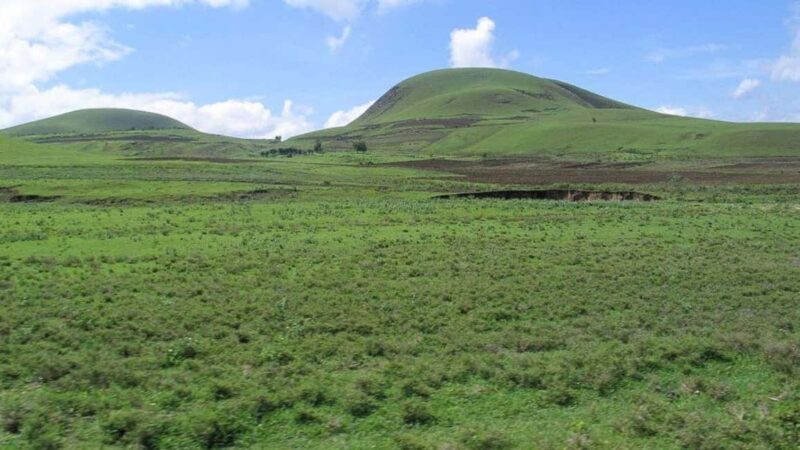 2-Day African Natural Wonders Safari - Cost and Value Analysis
