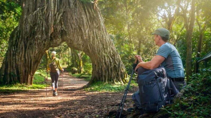 2-Day African Natural Wonders Safari - Final Thoughts