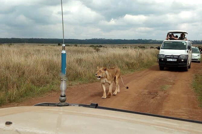 2-Day Amboseli National Park Safari- Daily Departures - Introduction: Why Choose an Amboseli Safari?