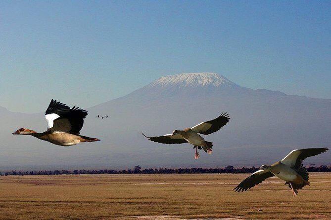 2-Day Amboseli Safari - Frequently Asked Questions