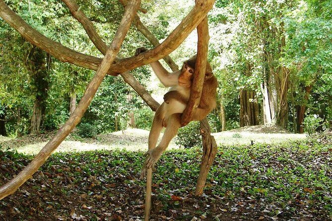 2-Day Angkor Wat Tour from Bangkok - Who This Tour Is Best For