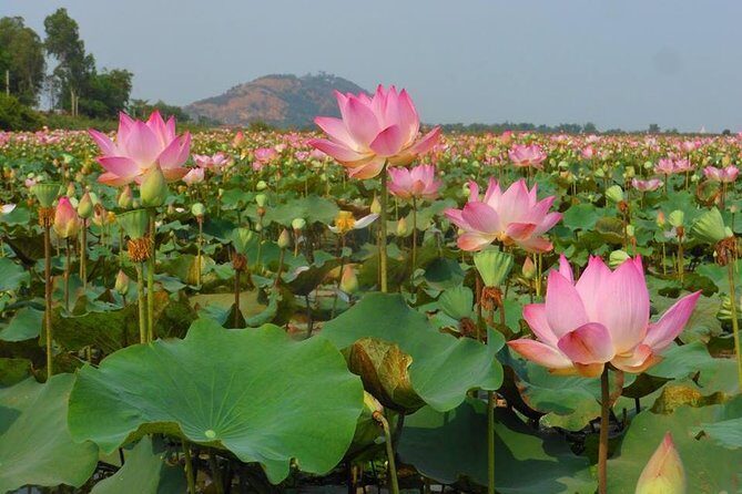 2-Day Angkor Wat Tour from Bangkok - FAQs