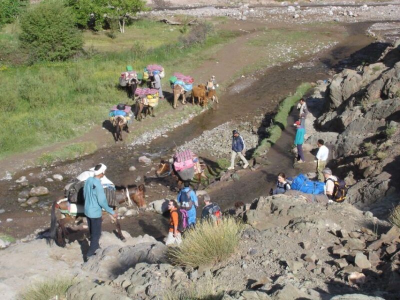 2-Day Atlas Mountains Morocco Trek with Village Stay - Why This Trek Offers Great Value