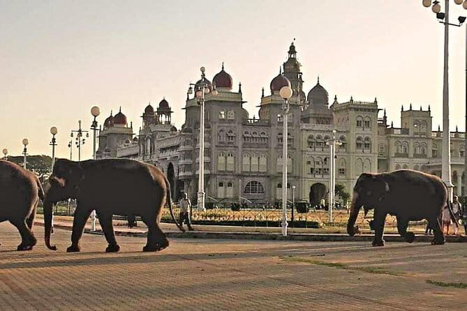 2 Day Bandipur Safari and Mysore Palace Tour - Final Thoughts