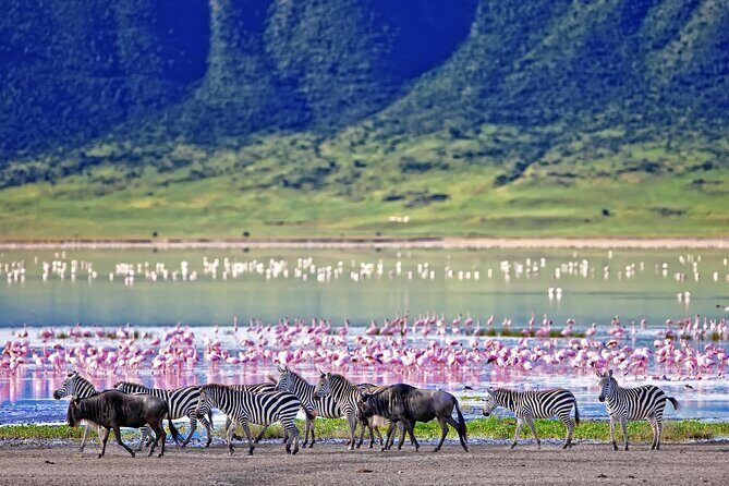 2 Day Budget Safari in Tarangire and Ngorongoro From Arusha - Who Should Consider This Safari?