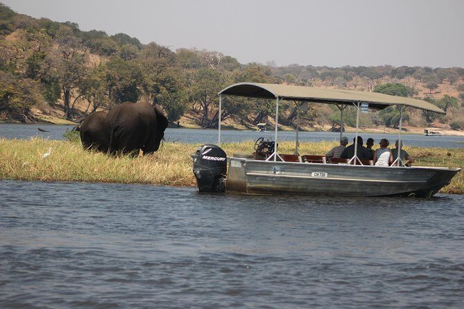 2-Day Camping Safari in Chobe National Park from Victoria Falls - The Sum Up