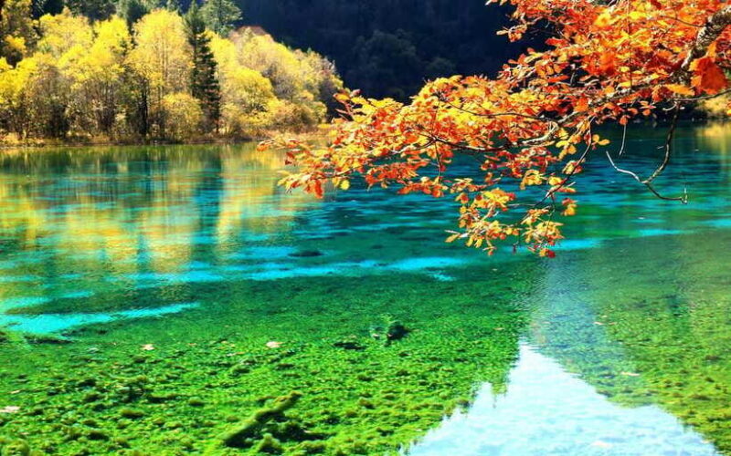 2 Day Chengdu to Jiuzhaigou&Huanglong Self-Guided w/Transfer - The Logistics: What You Need to Know
