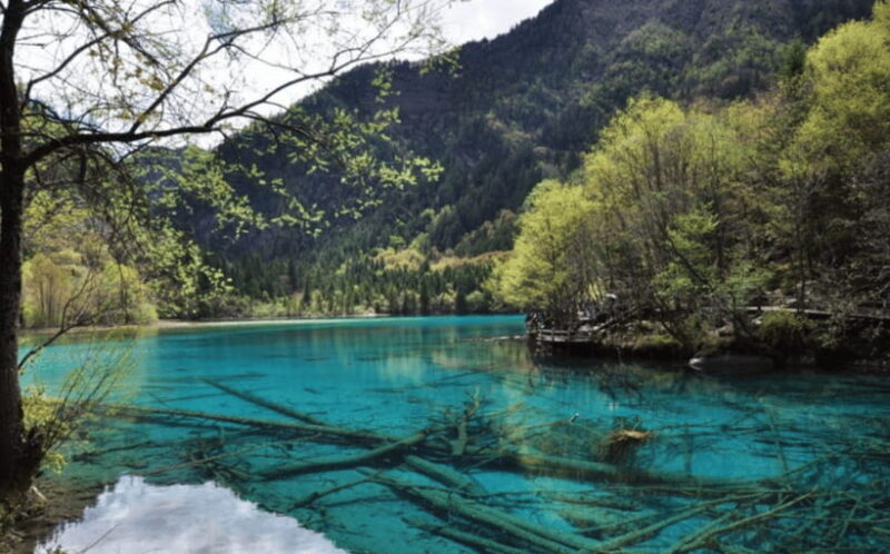 2 Day Chengdu to Jiuzhaigou&Huanglong Self-Guided w/Transfer - Who Is This Tour Best For?