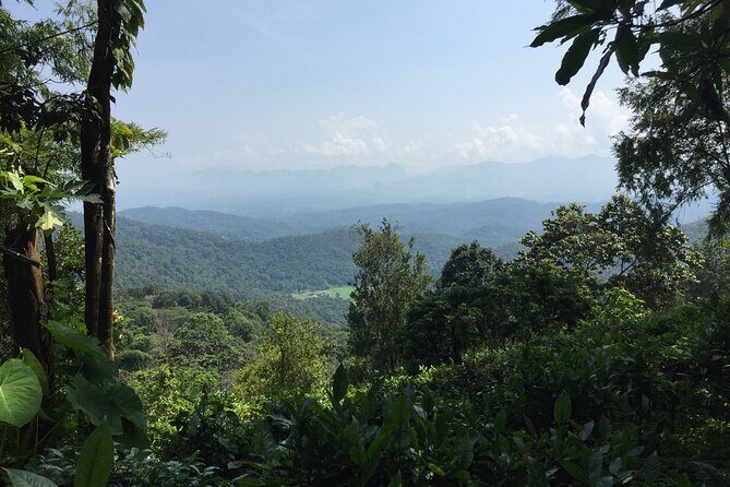 2-Day Chiang Dao and Mae Taeng Valley active tour - Who Should Consider This Tour